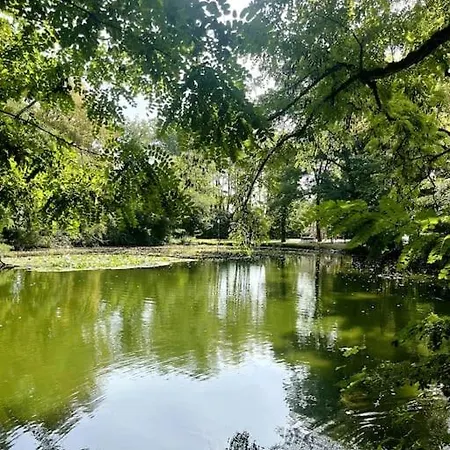 Gemuetliche Mit Balkon In שונפלד