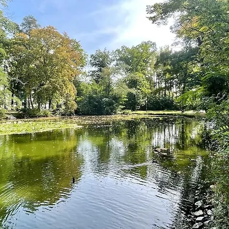 דירה Gemuetliche Mit Balkon In שונפלד