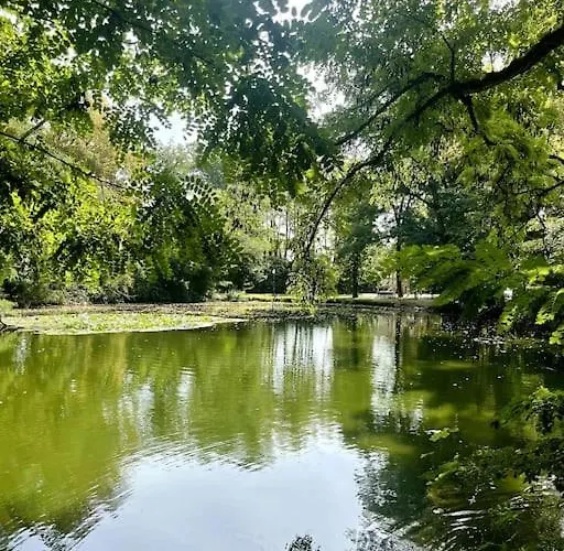 Gemuetliche Mit Balkon In シェーネフェルト